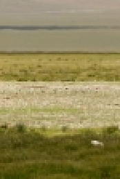 Chinas Wild Side S01E01 HDTV x264-CBFM EZTV