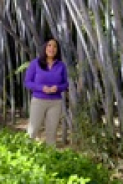 Wild Child S02E26 720p WEB h264-DiRT EZTV