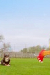 The Masked Dancer UK S01E02 XviD-AFG EZTV