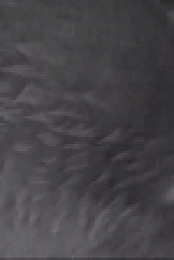 Winterwatch S09E03 XviD-AFG EZTV