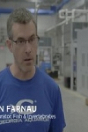 The Aquarium S02E08 Ghost Gators iNTERNAL 480p x264-mSD [eztv]