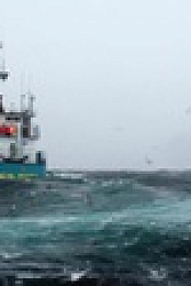 Deadliest Catch S17E05 Force Majeure 720p WEB h264-CAFFEiNE EZTV