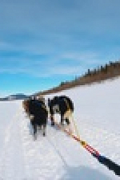 Life Below Zero First Alaskans S02E03 720p WEB h264-EDITH EZTV