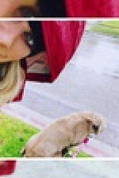 Vanderpump Dogs S01E01 720p WEB h264-KOGi EZTV