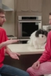 Tosh 0 S12E04 XviD-AFG EZTV