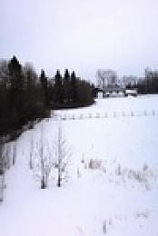 Cold Case Files S02E26 480p x264-mSD EZTV