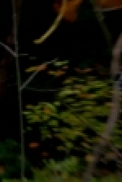Mountain Monsters S03E06 WEB h264-CROSSFIT[eztv]