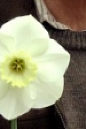 The Beechgrove Garden S42E01 720p WEBRip X264-iPlayerTV [eztv]