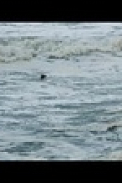 100 Foot Wave S01E01 720p WEB H264-BIGDOC EZTV