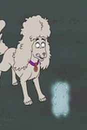 HouseBroken S02E15 480p x264-mSD EZTV