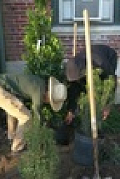 This Old House S43E21 XviD-AFG EZTV
