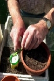 The Beechgrove Garden S42E04 480p x264-mSD [eztv]