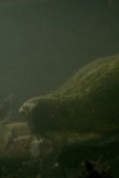 Dead by Dawn S01E04 Swamp Things 720p WEBRip x264-CAFFEiNE [eztv]