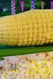 Holey Moley S03E10 XviD-AFG EZTV