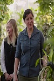 Ask This Old House S21E11 480p x264-mSD EZTV
