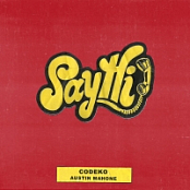 Codeko & Austin Mahone - Say Hi (Single) (2017) (Mp3 320kbps) [Hunter]