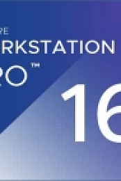 VMware Workstation Pro 16.0.0 Build 16894299 (x64) [johdrxrt]