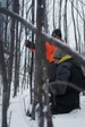 Life Below Zero First Alaskans S02E12 720p WEB h264-EDITH EZTV