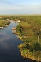 Swamp People S14E01 720p WEB h264-BAE EZTV