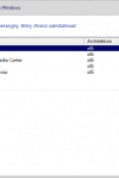 Windows 8.1 x86 [PL] [2019.06-NiKKA]