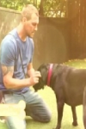Lucky Dog S07E10 480p x264-mSD [eztv]