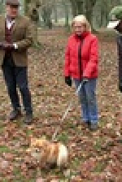 Dogs Behaving Badly S05E08 XviD-AFG EZTV