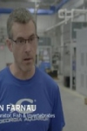 The Aquarium S02E08 Ghost Gators 480p x264-mSD [eztv]