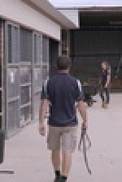 Scottish Vets Down Under S01E09 XviD-AFG EZTV