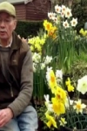 The Beechgrove Garden S42E01 INTERNAL 480p x264-mSD [eztv]
