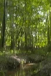 Moonshiners S09E09 WEB x264-TBS EZTV
