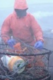 Deadliest Catch S18E09 XviD-AFG EZTV