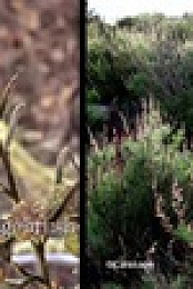 Kill Your Lawn S01E05 XviD-AFG EZTV