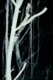 The Alaska Triangle S01E02 480p x264-mSD EZTV