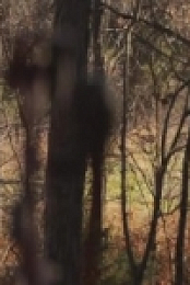 HuntCo S05E11 480p x264-mSD [eztv]