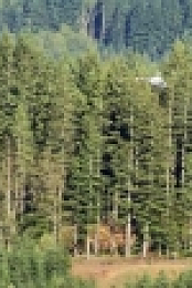 Ax Men S01E01 iNTERNAL 720p WEB H264-TURBO[eztv]
