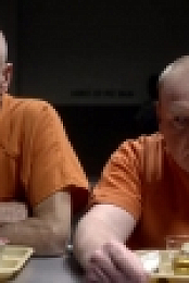 Blunt Talk S02E08 HDTV x264-FLEET[eztv]