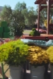 Full Bloom S01E07 720p HEVC x265-MeGusta EZTV