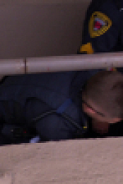 Cops S36E16 1080p WEB h264-BAE EZTV
