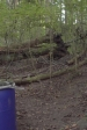 Moonshiners S07E13 720p WEB x264-TBS[eztv]