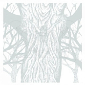 Beyond Grace (UK) - Seekers (2017) [mp3@320] [Technical Death Metal]