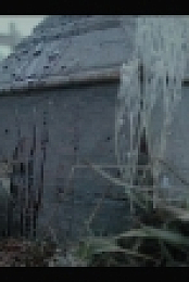 Two Sentence Horror Stories S02E10 WEB x264-PHOENiX EZTV