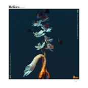 Hellions - Rue [2018] [320 KBPS][Pradyutvam]