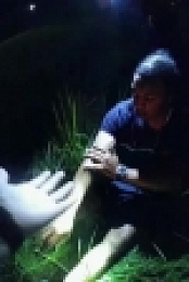 Rescue Cam S01E07 XviD-AFG EZTV