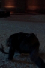 The Strain S04E02 PROPER 720p HDTV x264-KILLERS [eztv]