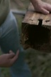 Barnwood Builders S16E07 XviD-AFG EZTV