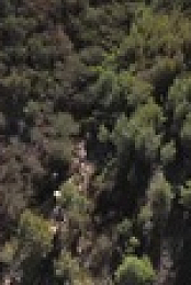Kill Your Lawn S01E01 XviD-AFG EZTV