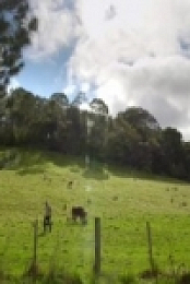 Gourmet Farmer S04E08 480p x264-mSD [eztv]
