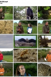 Springwatch 2020 E06 (1280x720p HD, 50fps, soft Eng subs)