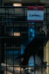 CSI Vegas S02E09 480p x264-mSD EZTV