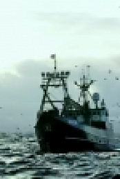 Deadliest Catch S14E05 WEB x264-TBS[eztv]